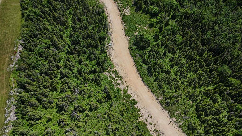  Cabot Trail, Ingonish - photo 4