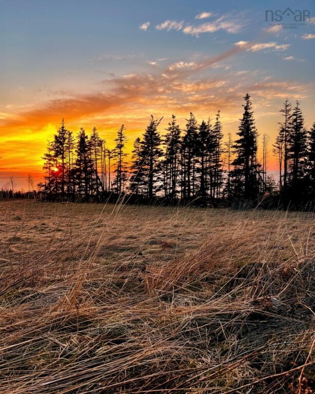 23-1 Broad Cove Banks Road, Inverness - photo 3