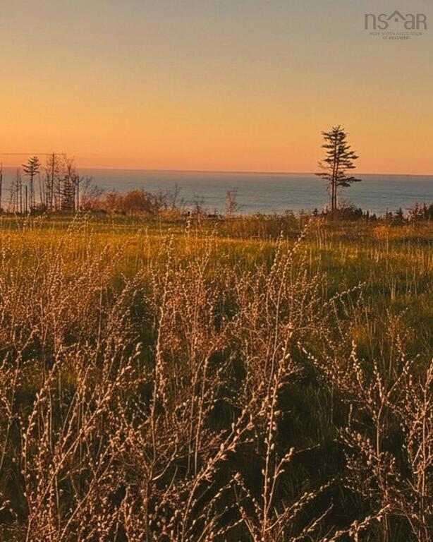 23-1 Broad Cove Banks Road, Inverness - photo 4