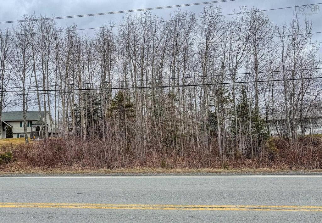 Lot C Highway 214, Nine Mile River