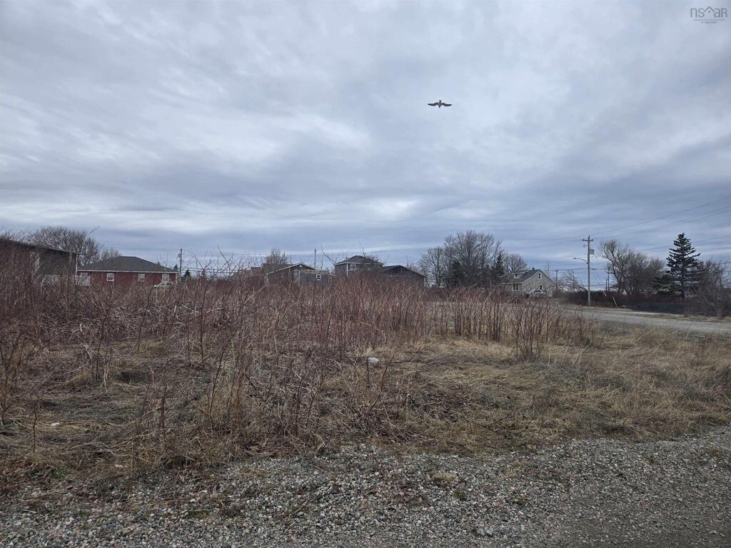 177 Pitt Street, Dominion - photo 2