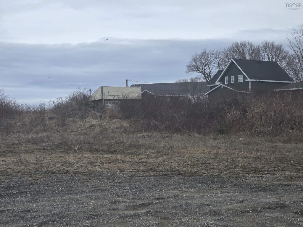 * Nicholsons (pitt Street) Lane, Dominion