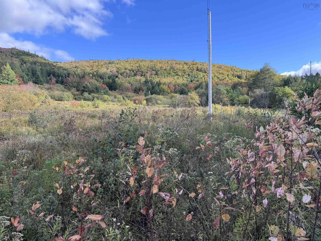 101 Ferguson Road, Kewstoke