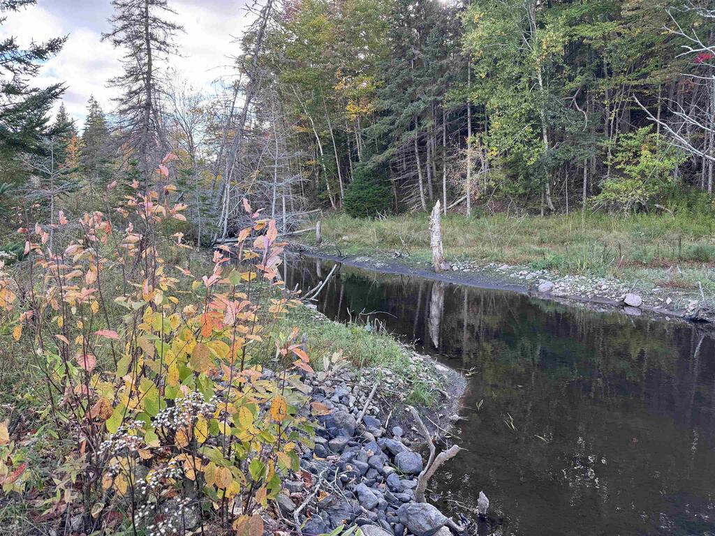 101 Ferguson Road, Kewstoke - photo 2