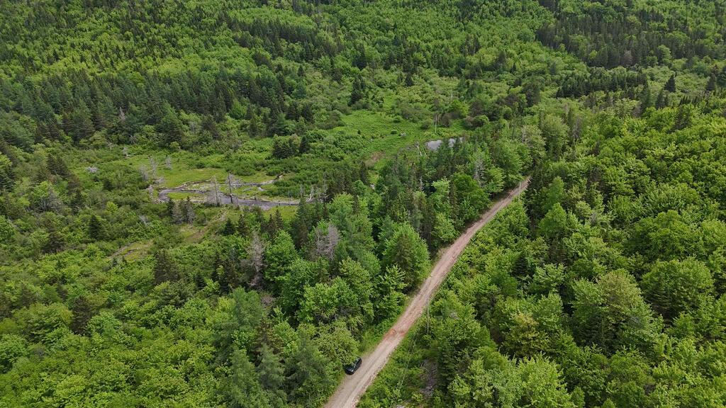 101 Ferguson Road, Kewstoke - photo 3