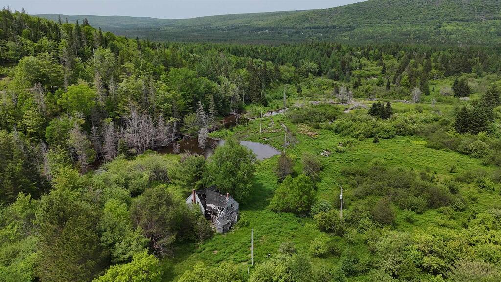 101 Ferguson Road, Kewstoke - photo 4