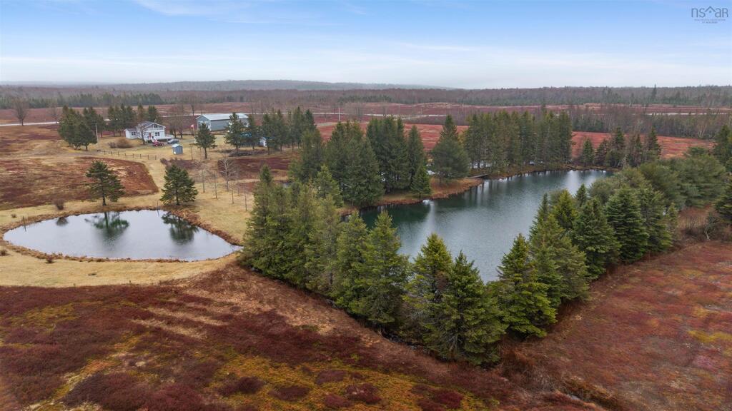 1311 Glenmore Road, Glenmore - photo 4