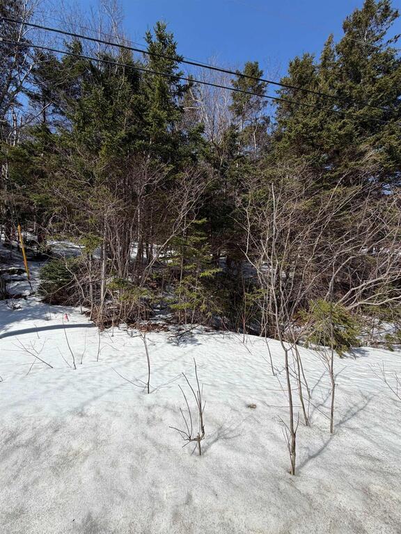 Lot 19 Scotsville Rd, Kenloch, Nova Scotia, B0e 1n0, Kenloch