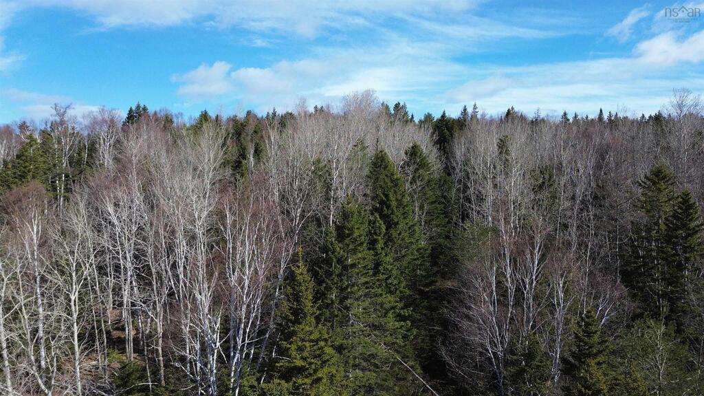 Lot 1 No 105 Highway, B0e 1b0, Inlet Baddeck - photo 3