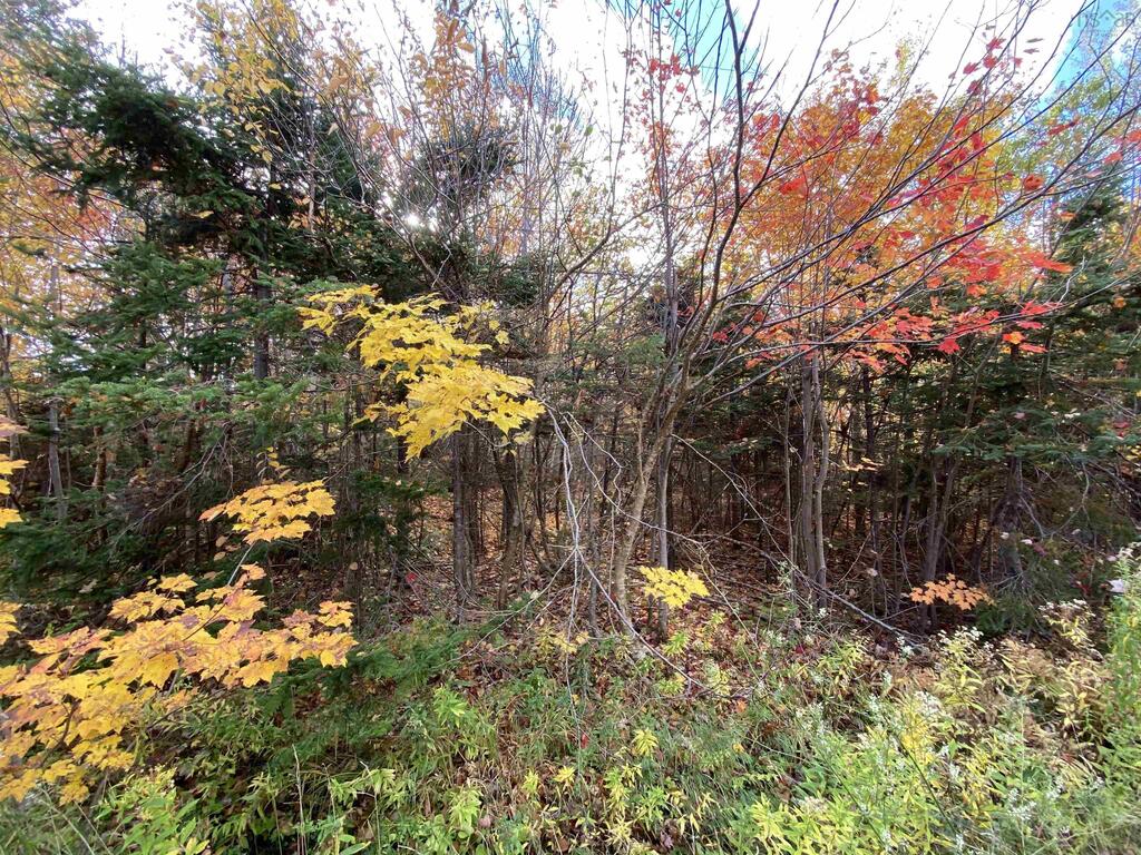  St. James Road, Big Bras D'or - photo 2