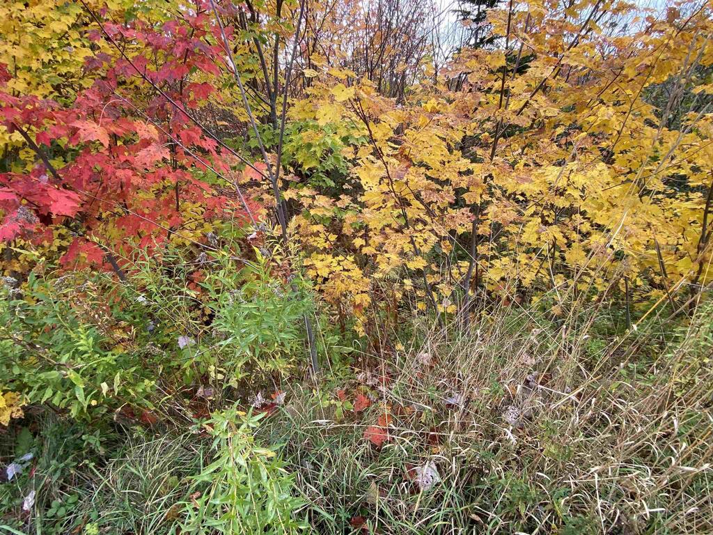  St. James Road, Big Bras D'or - photo 3