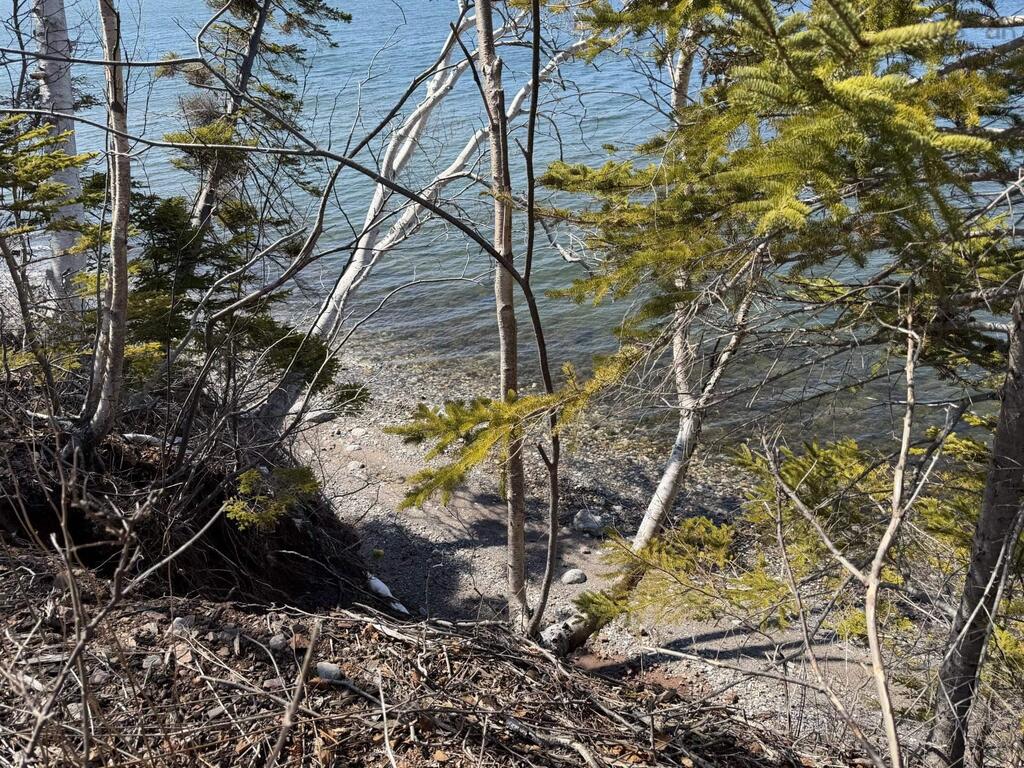 185 Derby Point Road, Grand Narrows - photo 4