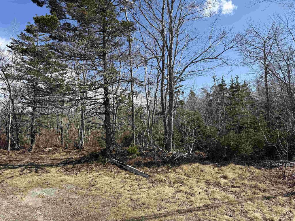 No 103 Highway, Clyde River - photo 4