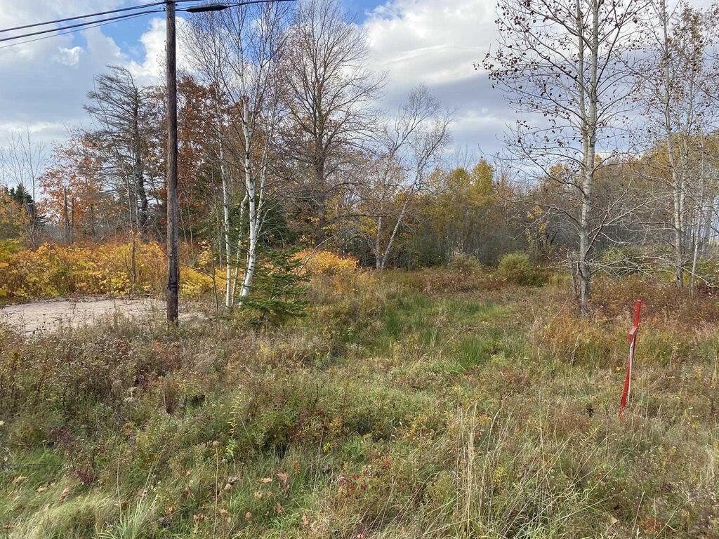 Unit 1  Highway 215, Noel - photo 3