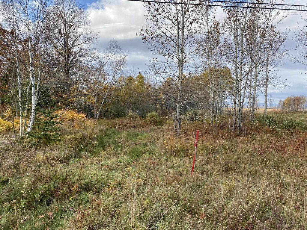 Unit 1  Highway 215, Noel - photo 4