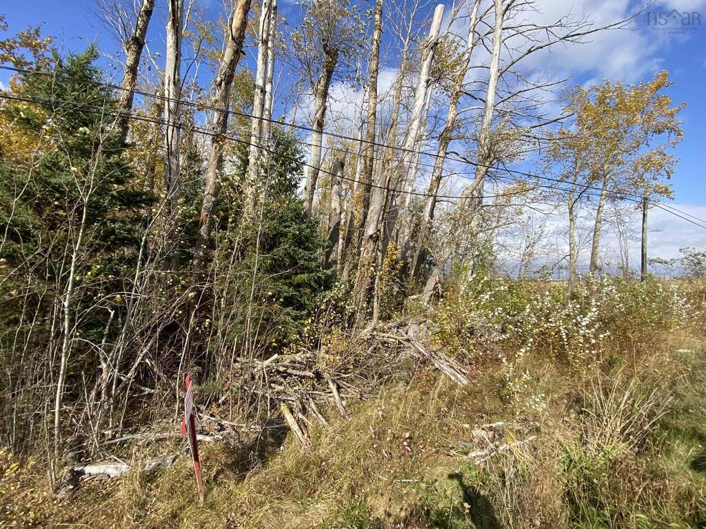 Unit 3  Highway 215, Noel - photo 2