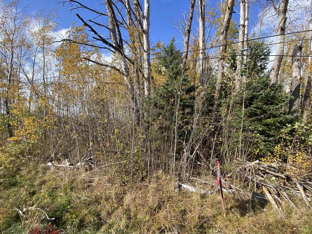 Unit 3  Highway 215, Noel - photo 4